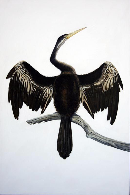 Darter, acrylic on canvas, by James Ainslie