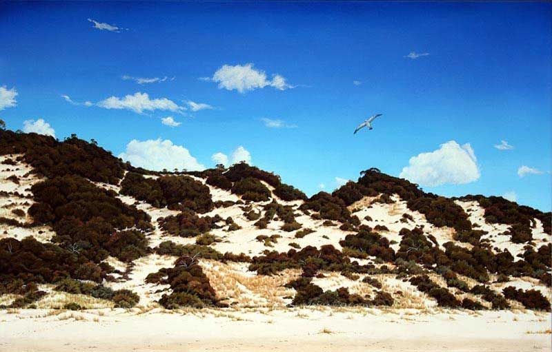 D'Arry's Dunes, acrylic on linen, by James Ainslie