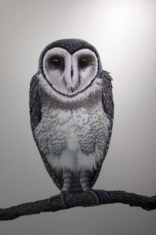 Sooty 2, acrylic on canvas, by James Ainslie