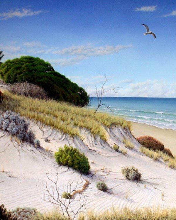 Coastal, paintings by James Ainslie