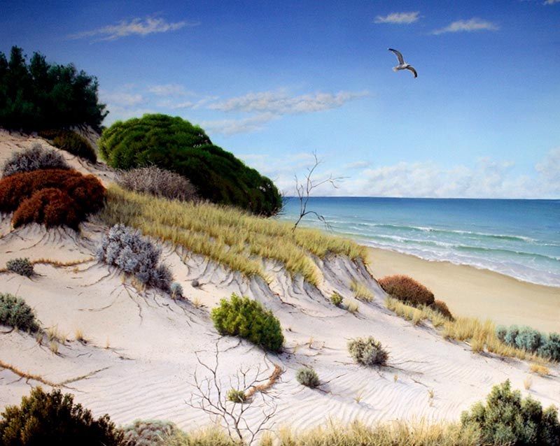 Soaring 2, acrylic on canvas, by James Ainslie