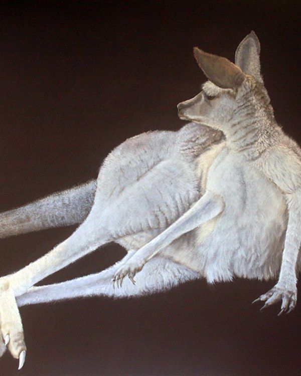 Other paintings, paintings by James Ainslie