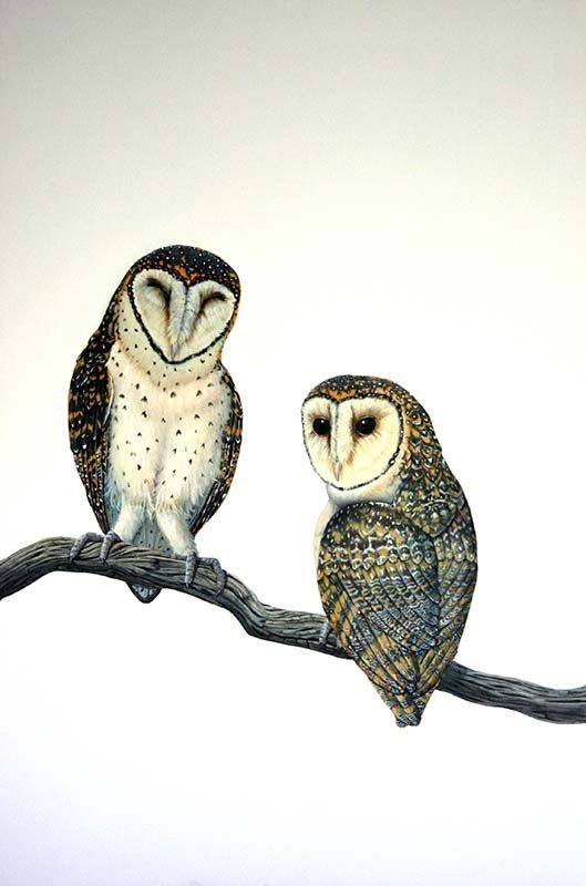 Sleepy, acrylic on canvas, by James Ainslie