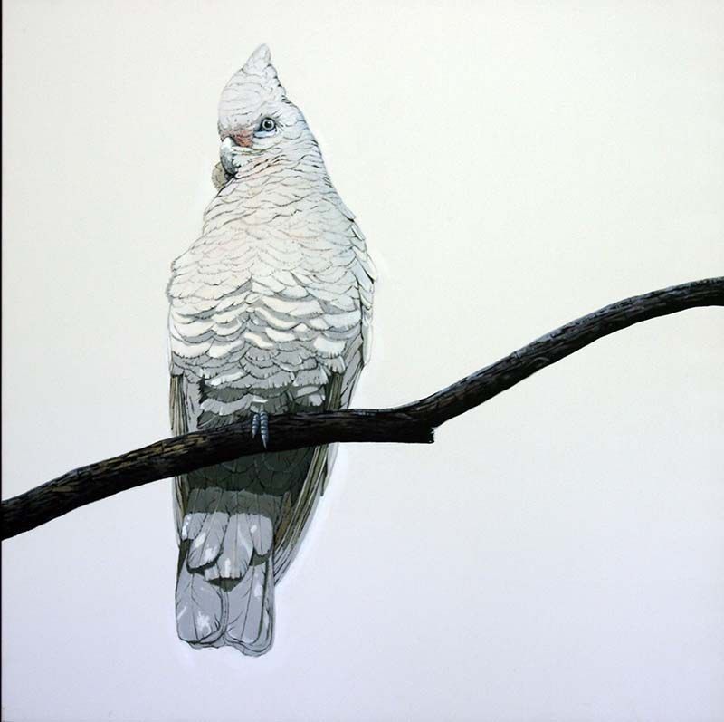 The Watcher, acrylic on canvas, by James Ainslie