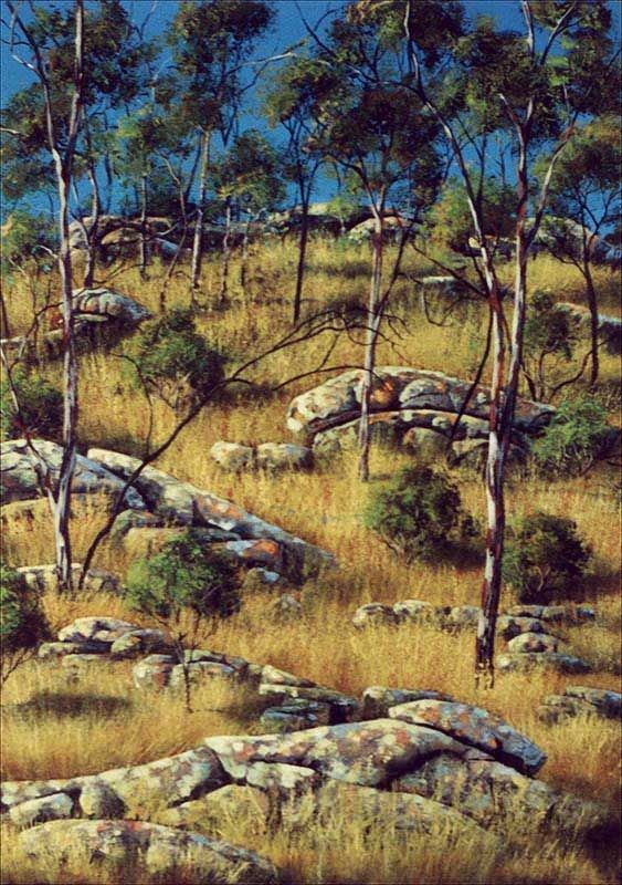 Summer, acrylic on canvas, by James Ainslie
