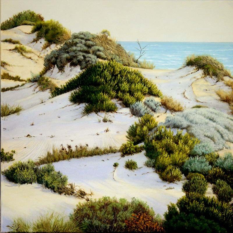 Coorong Dawn, acrylic on canvas, by James Ainslie