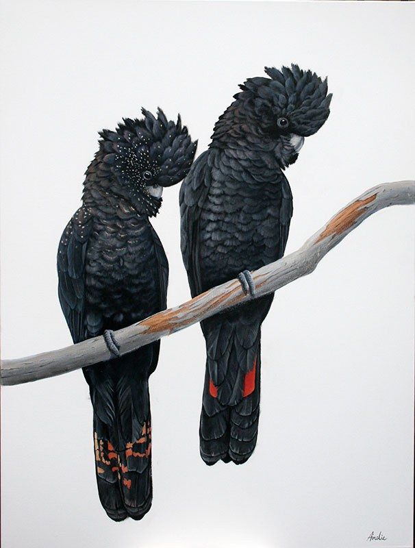Red Tails, acrylic on canvas, by James Ainslie