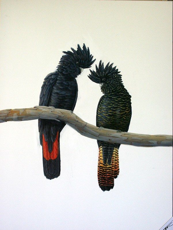 Red Tails 2, acrylic on canvas, by James Ainslie