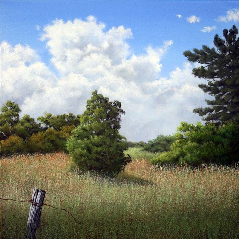 Across the paddock, acrylic on canvas, by James Ainslie