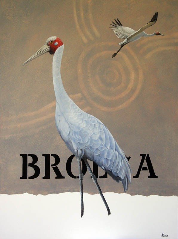 Brolga, acrylic on canvas, by James Ainslie